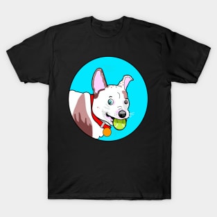 G-PUP TURQUOISE T-Shirt